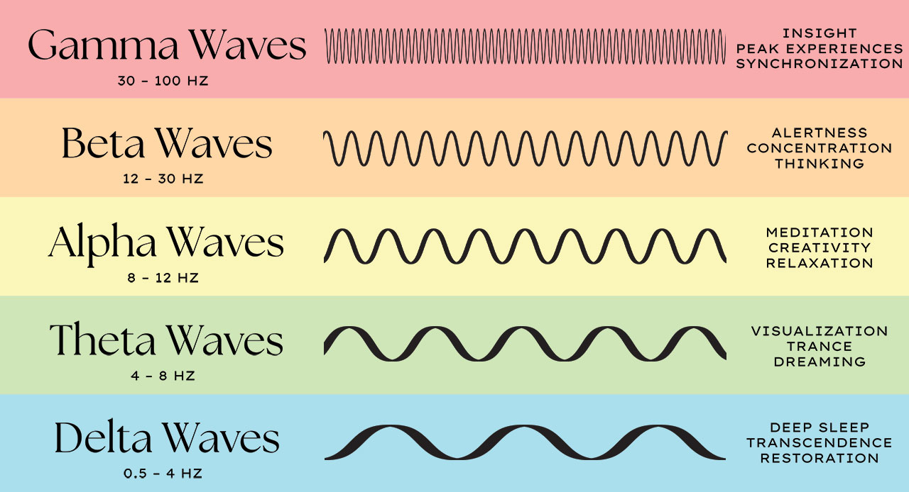 Brainwave states — Delta, Theta, Alpha, Beta, Gamma